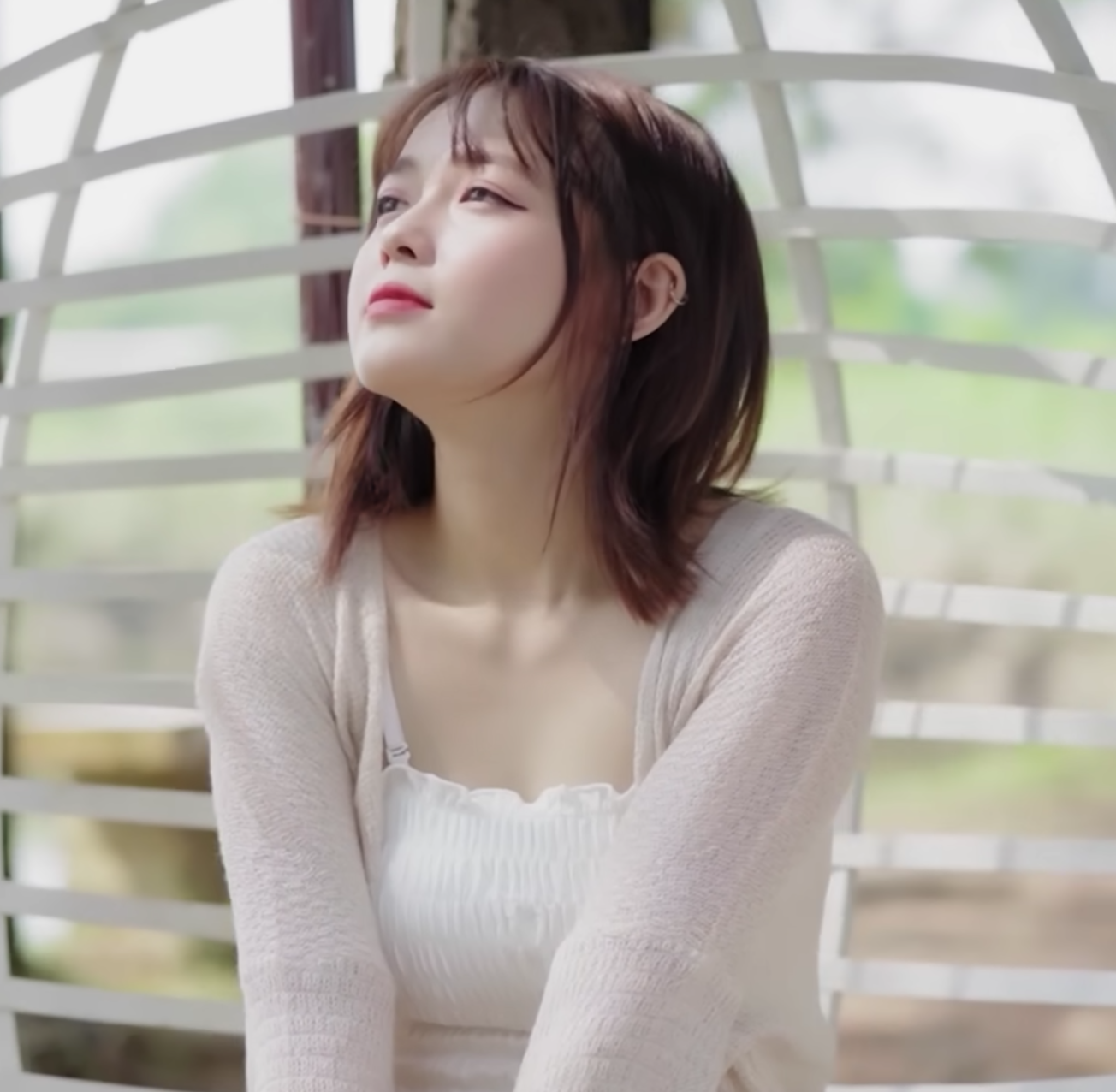 lĩnh vực hoạt động